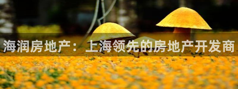 万向娱乐官网下载安装