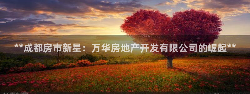 万向娱乐app下载安装