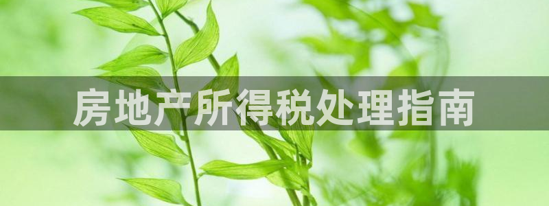 万向娱乐平台代理多少钱一个月