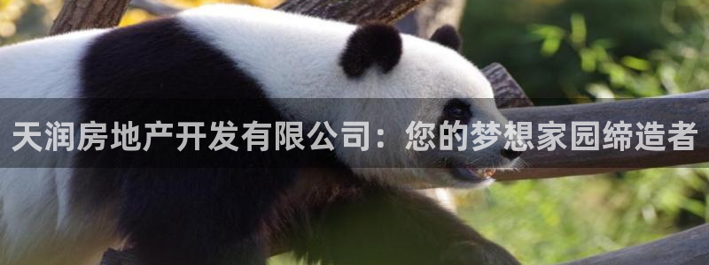 万向娱乐公司官网