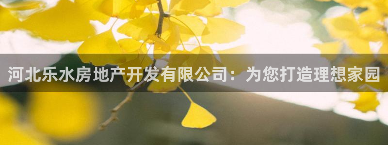 万向娱乐平台代理