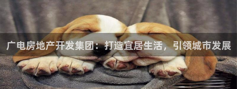 万向娱乐平台代理怎么做的
