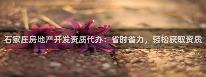 万向娱乐