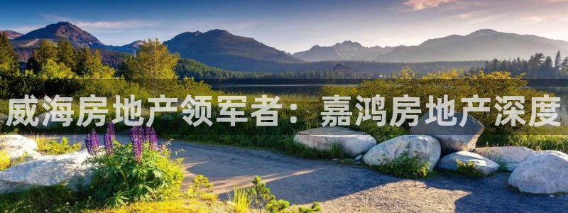 万向娱乐挂机