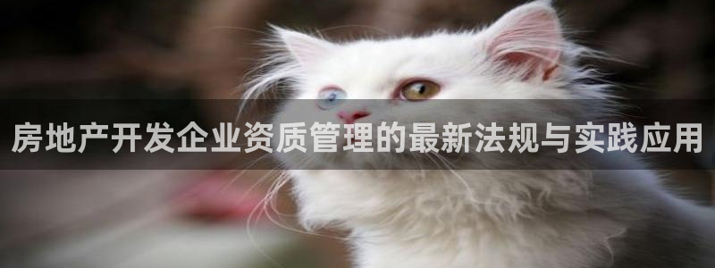 万向娱乐平台代理多少钱