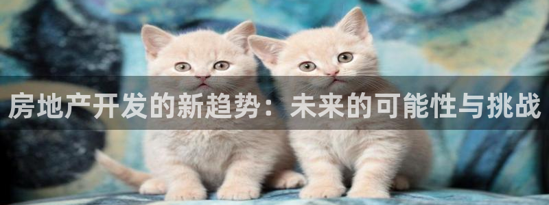 万向娱乐平台代理多少钱一年