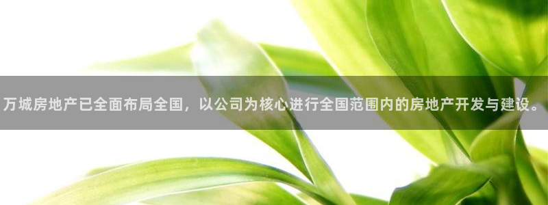 万向娱乐app下载官网