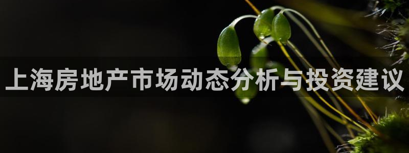万向娱乐公司官网首页