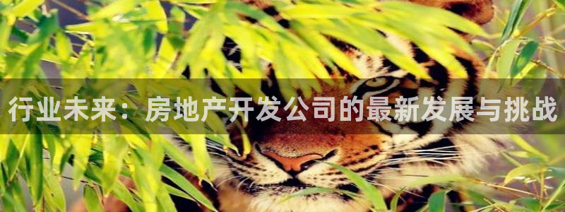 万向娱乐怎么样