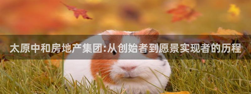 万向娱乐挂机软件
