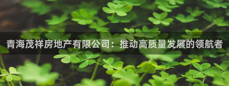 万向娱乐公司 585.34I 娱乐