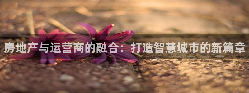 万向娱乐下载安装