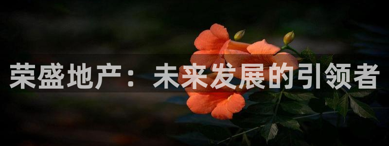 万向娱乐app下载官网