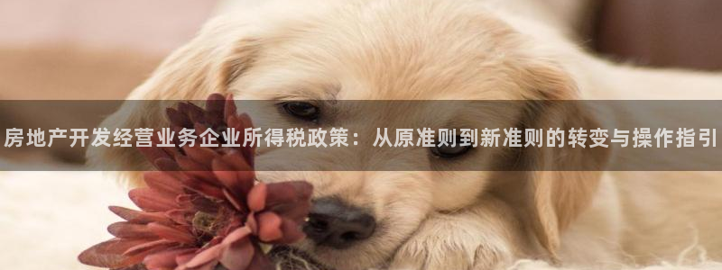 万向娱乐总代
