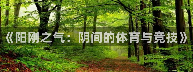 181熊猫体育