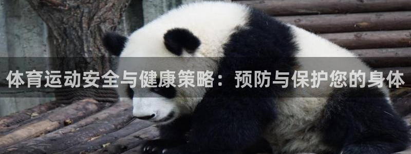 熊猫体育官网