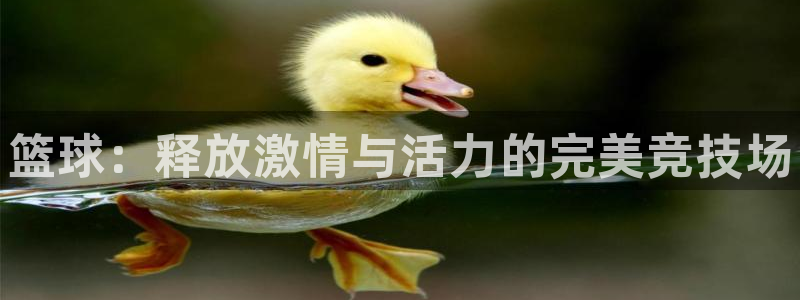 熊猫体育直播