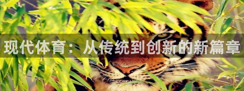 熊猫体育平台