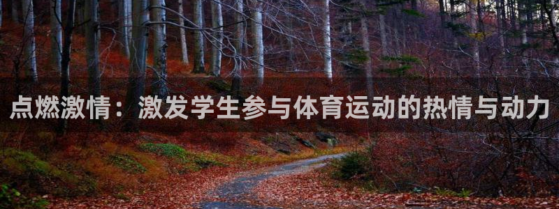 熊猫体育官网首页入口