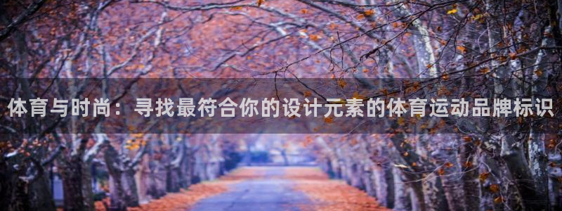 熊猫体育官网首页入口