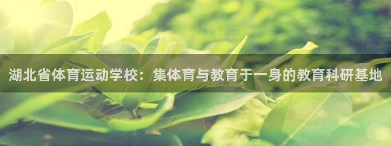 成都熊猫体育公园