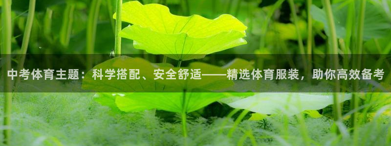熊猫体育公园