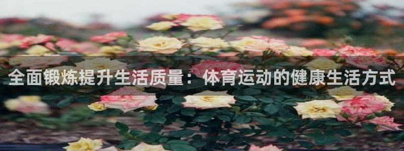成都金熊猫体育