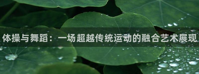熊猫体育公园价格