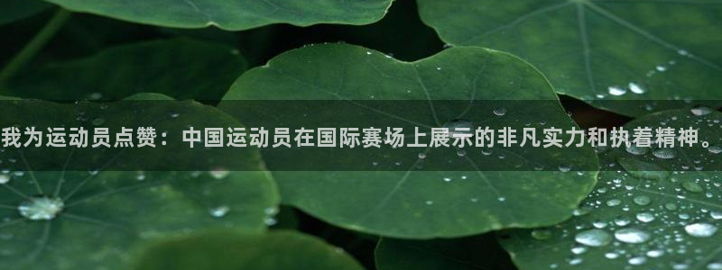熊猫体育