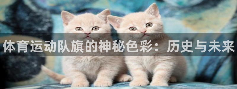 动感熊猫体育公园
