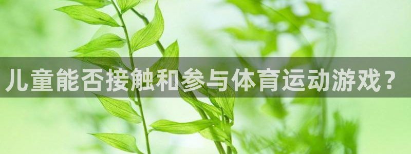 动感熊猫体育公园