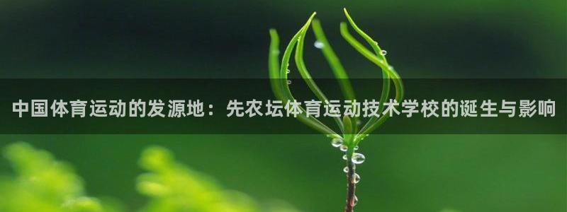 熊猫体育在线