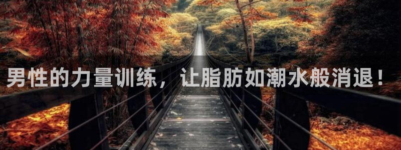 熊猫体育网址