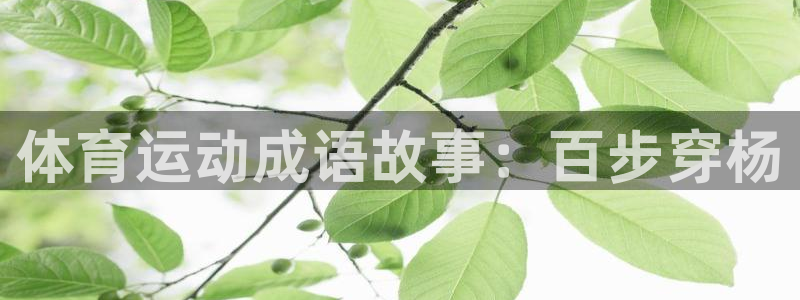 下载熊猫体育