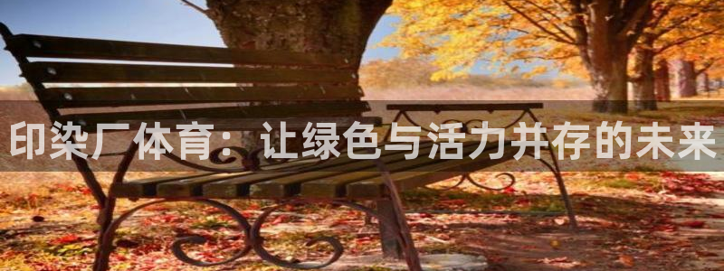 181熊猫体育