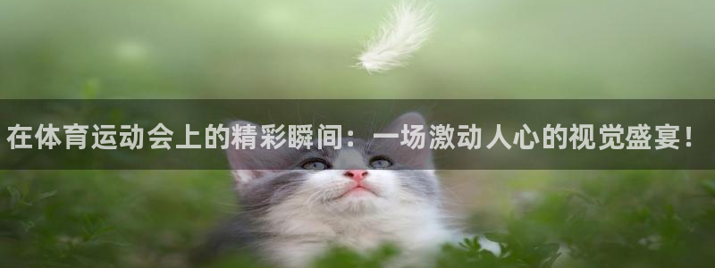 熊猫体育app官网入口