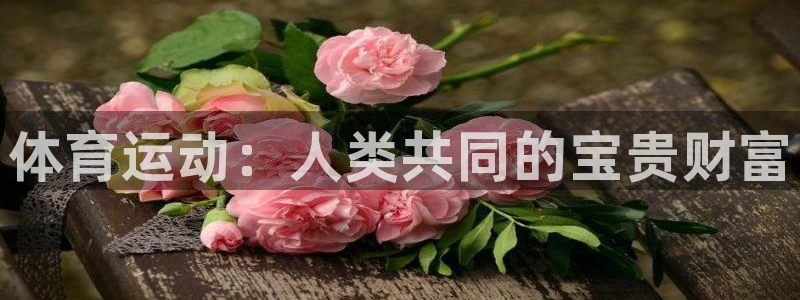 熊猫体育