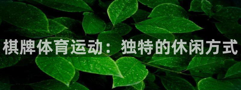 熊猫体育在线观看