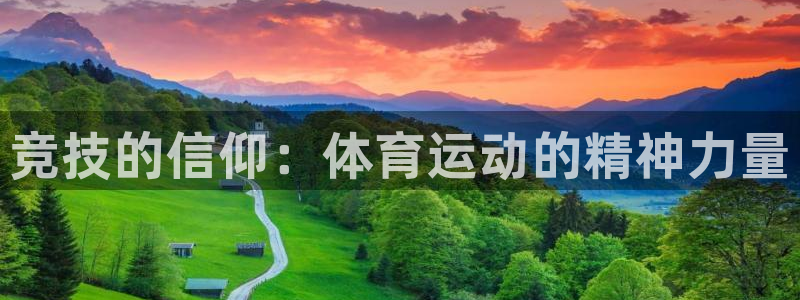 动感熊猫体育公园