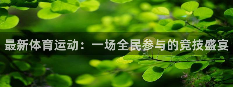 熊猫体育官网首页入口