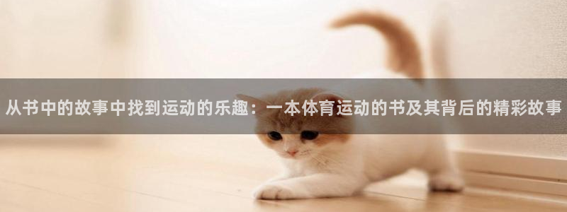 熊猫体育网址