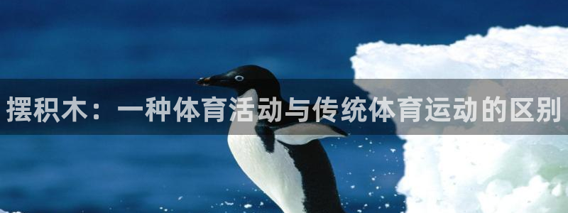 熊猫体育怎么样