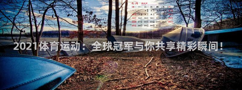 熊猫体育app下载安装