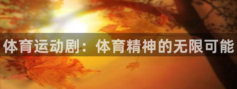 熊猫体育v3.新网页.org