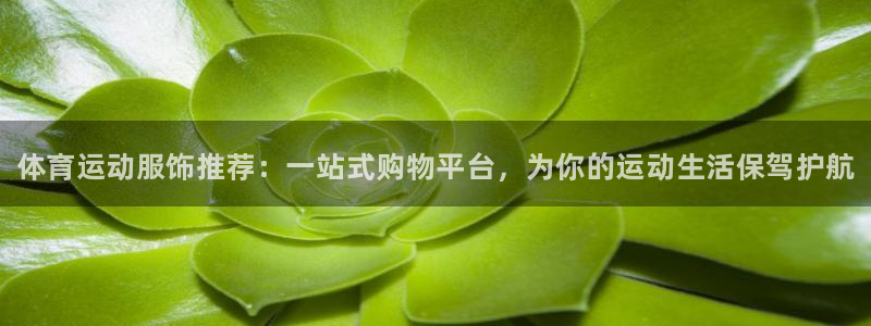 熊猫体育
