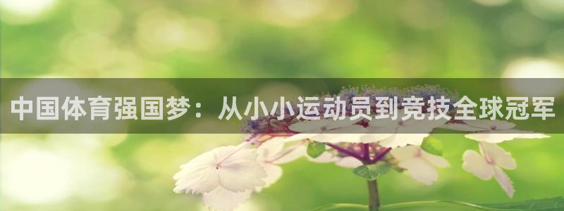 熊猫体育在线观看