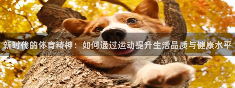 熊猫体育文化有限公司