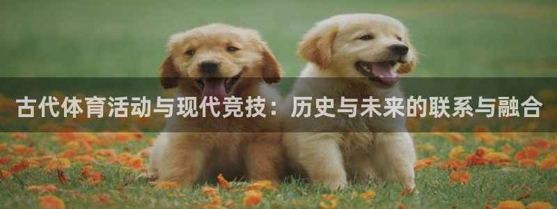 181熊猫体育