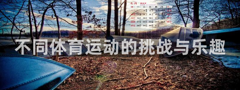 熊猫体育平台
