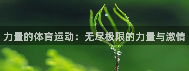 熊猫体育怎么样